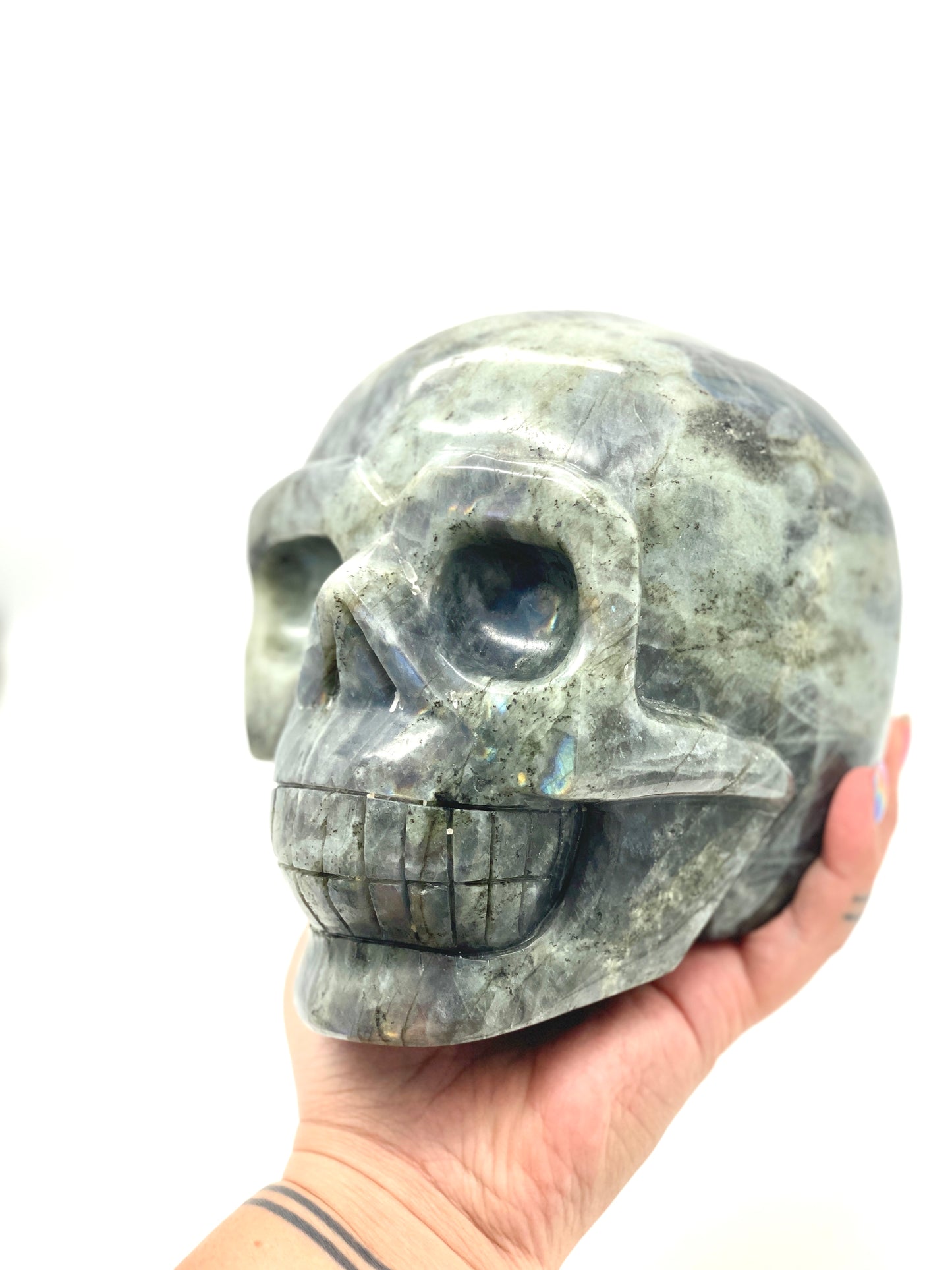 XXXL Labradorite Skull π