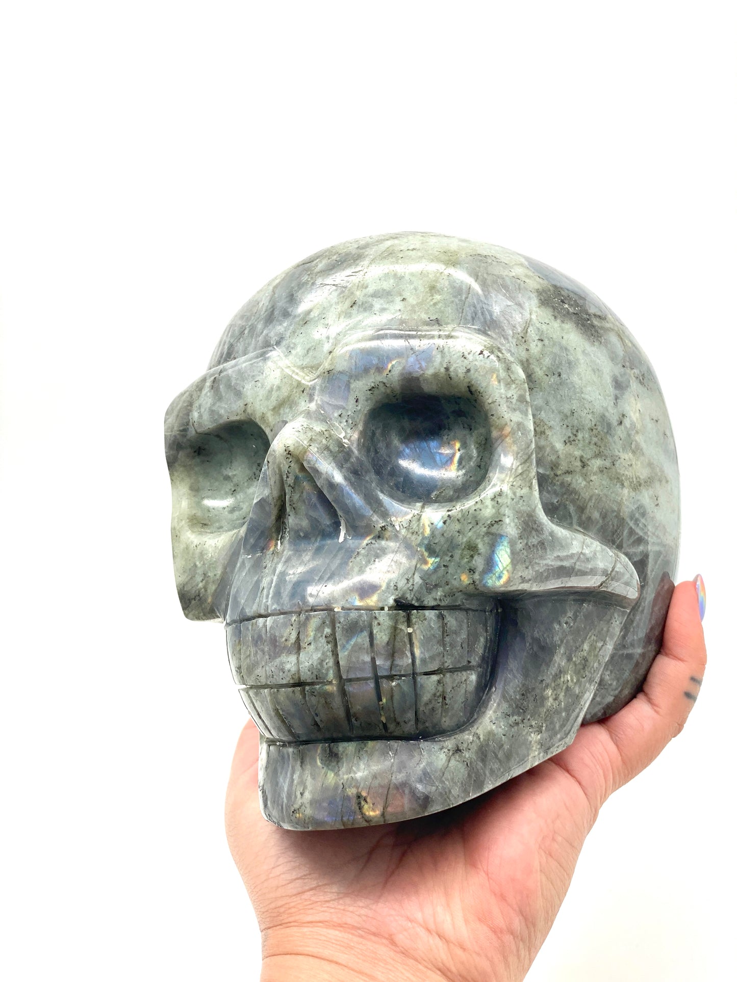 XXXL Labradorite Skull π