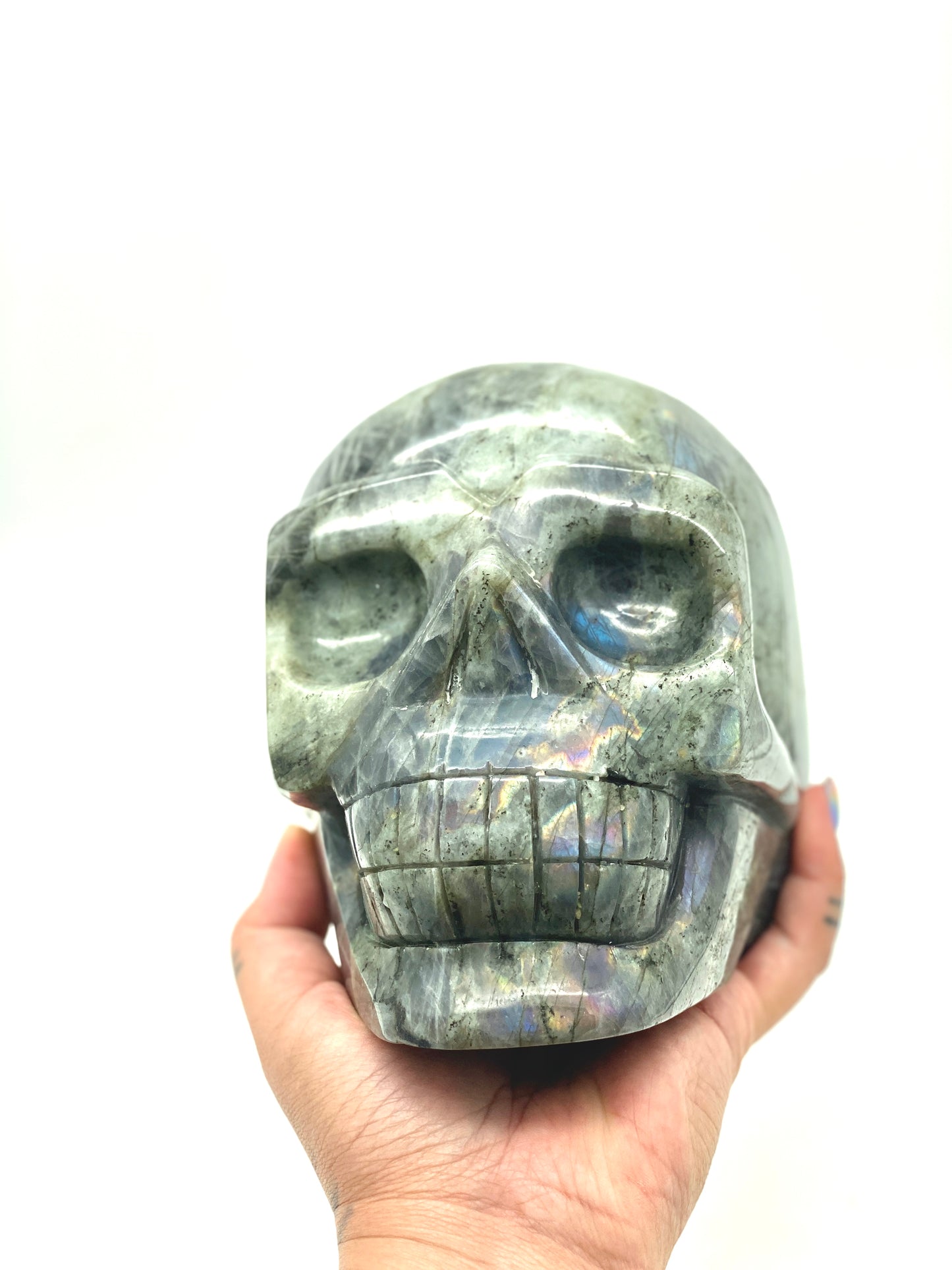 XXXL Labradorite Skull π