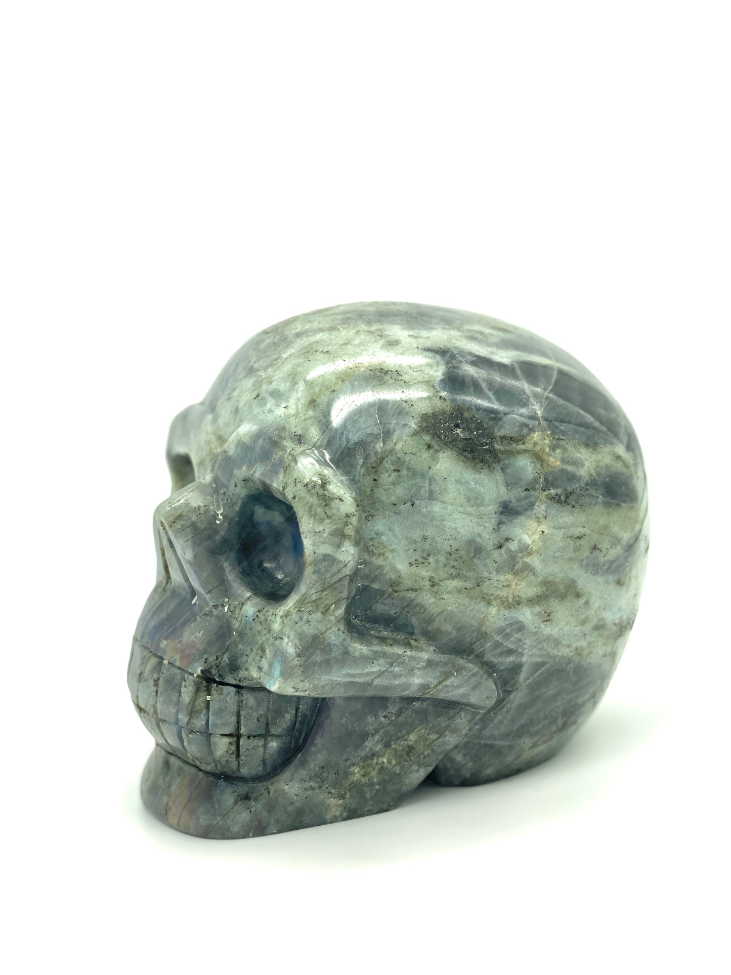 XXXL Labradorite Skull π