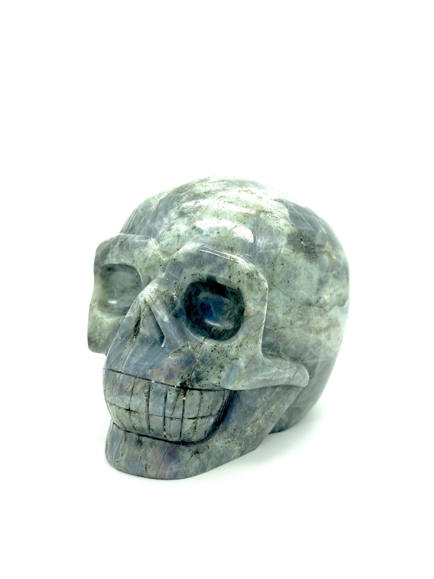 XXXL Labradorite Skull π
