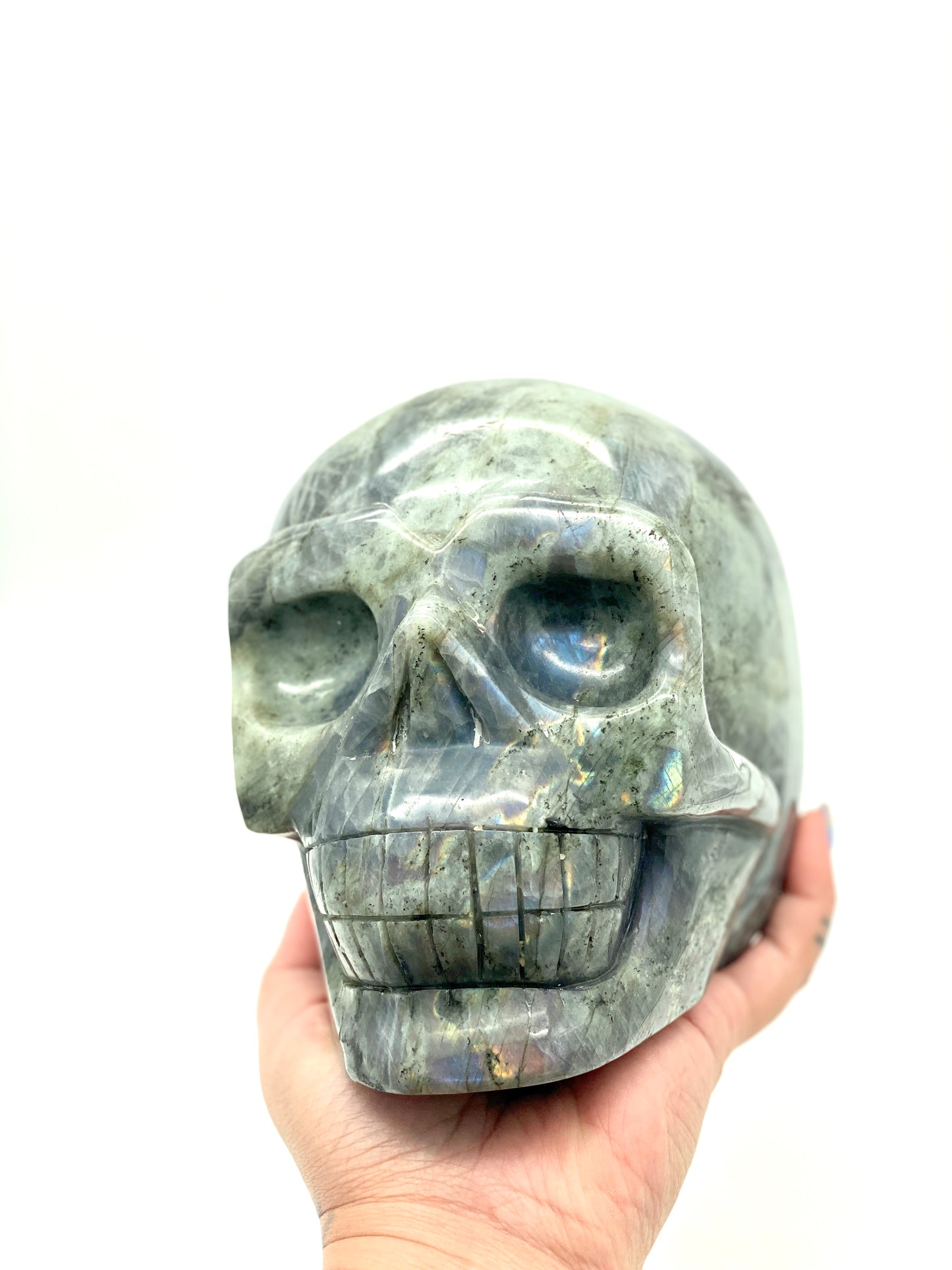 XXXL Labradorite Skull π