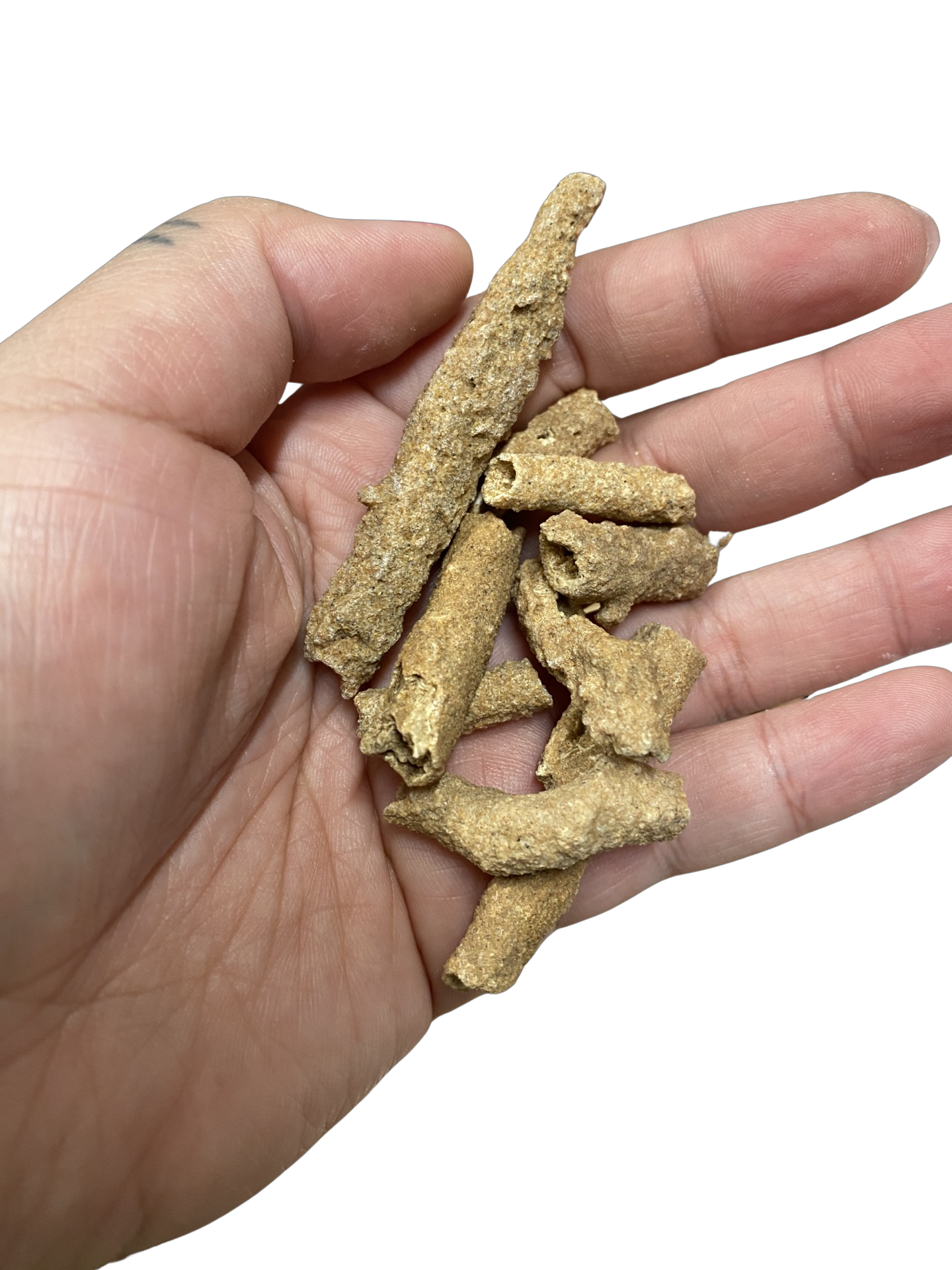 Petrified Lightning Saharan Fulgurite Specimen