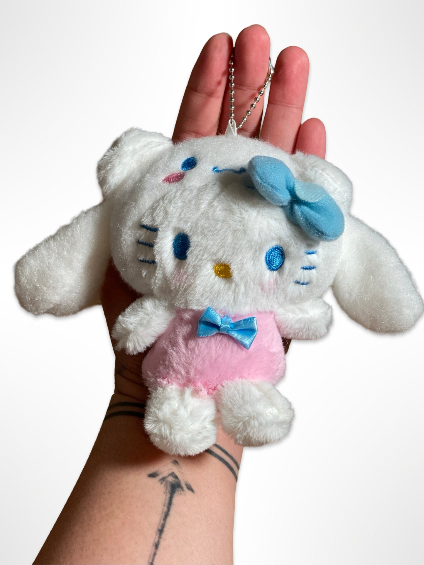 Sanrio Friends in Cinna Costume Plushie