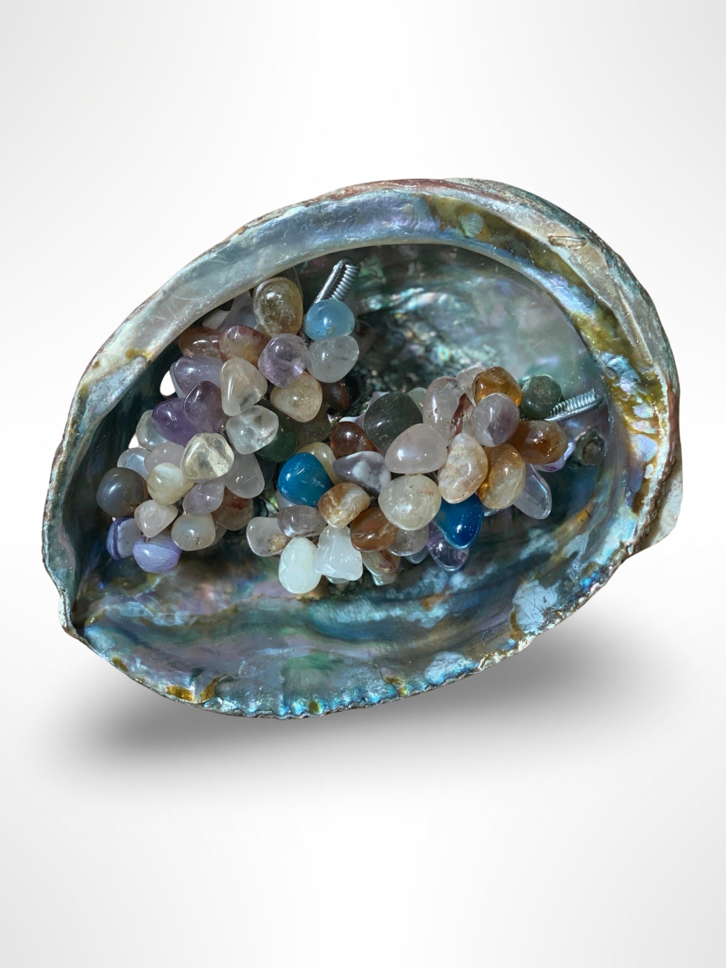 Abalone Shell Holder