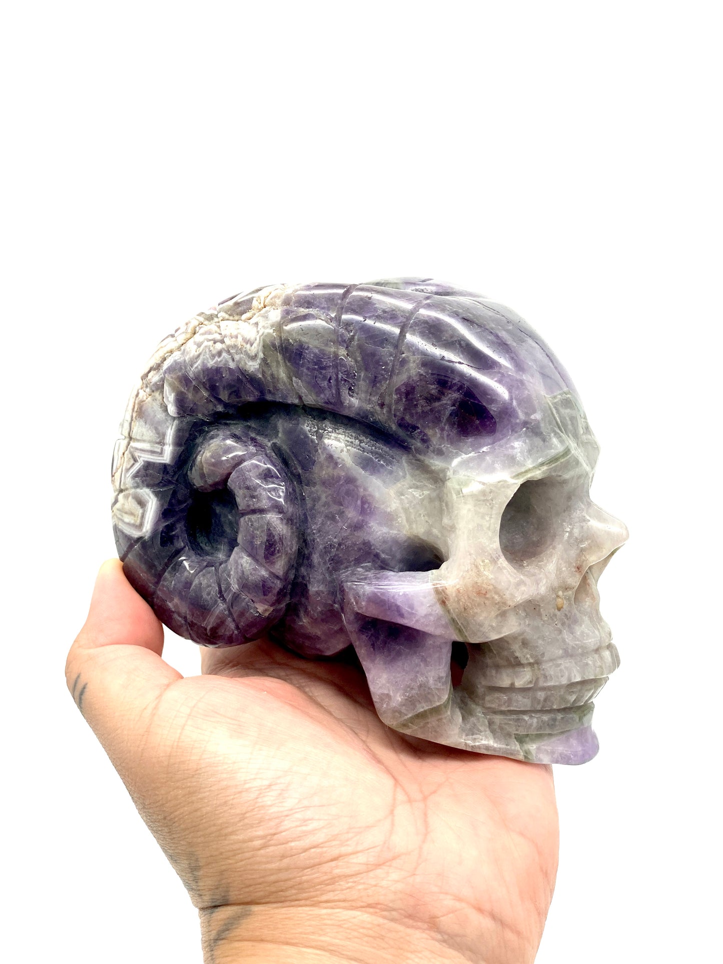 Chevron Amethyst Skull with horns