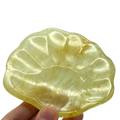 Citrine Shell Shaped Plate