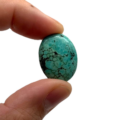 Tibetan Turquoise