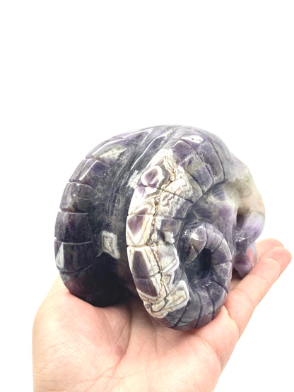 Chevron Amethyst Skull with horns