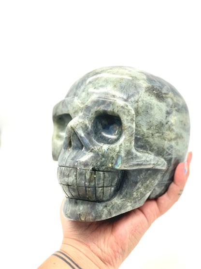 XXXL Labradorite Skull 💀