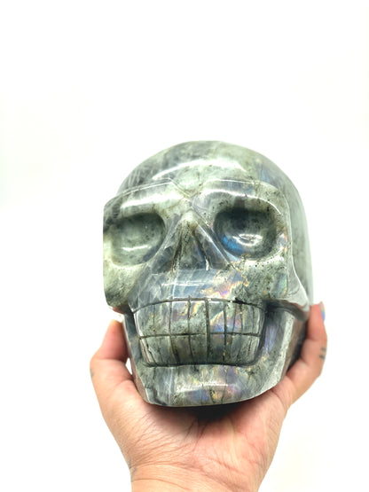 XXXL Labradorite Skull 💀