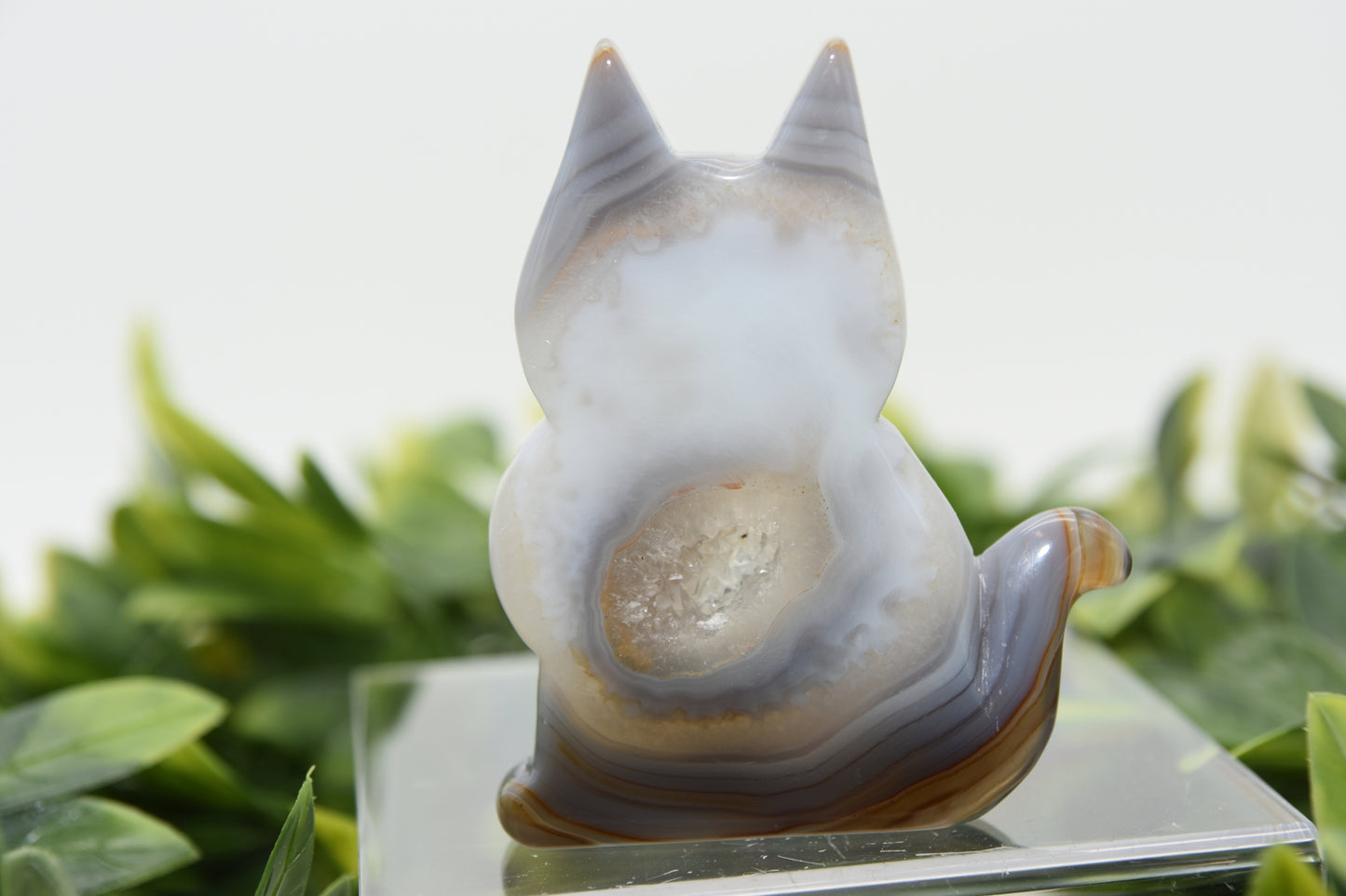 Druzy Agate Cats