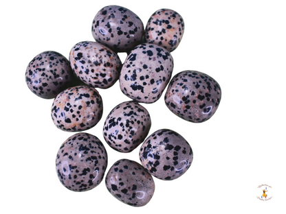 Dalmatian Jasper 3 for $10