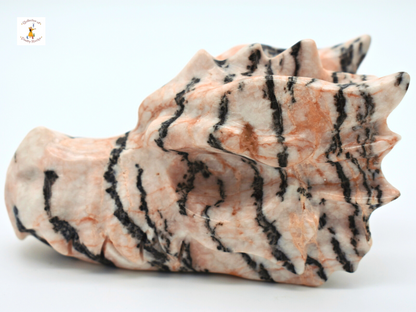 Pink Zebra Jasper Dragon Head